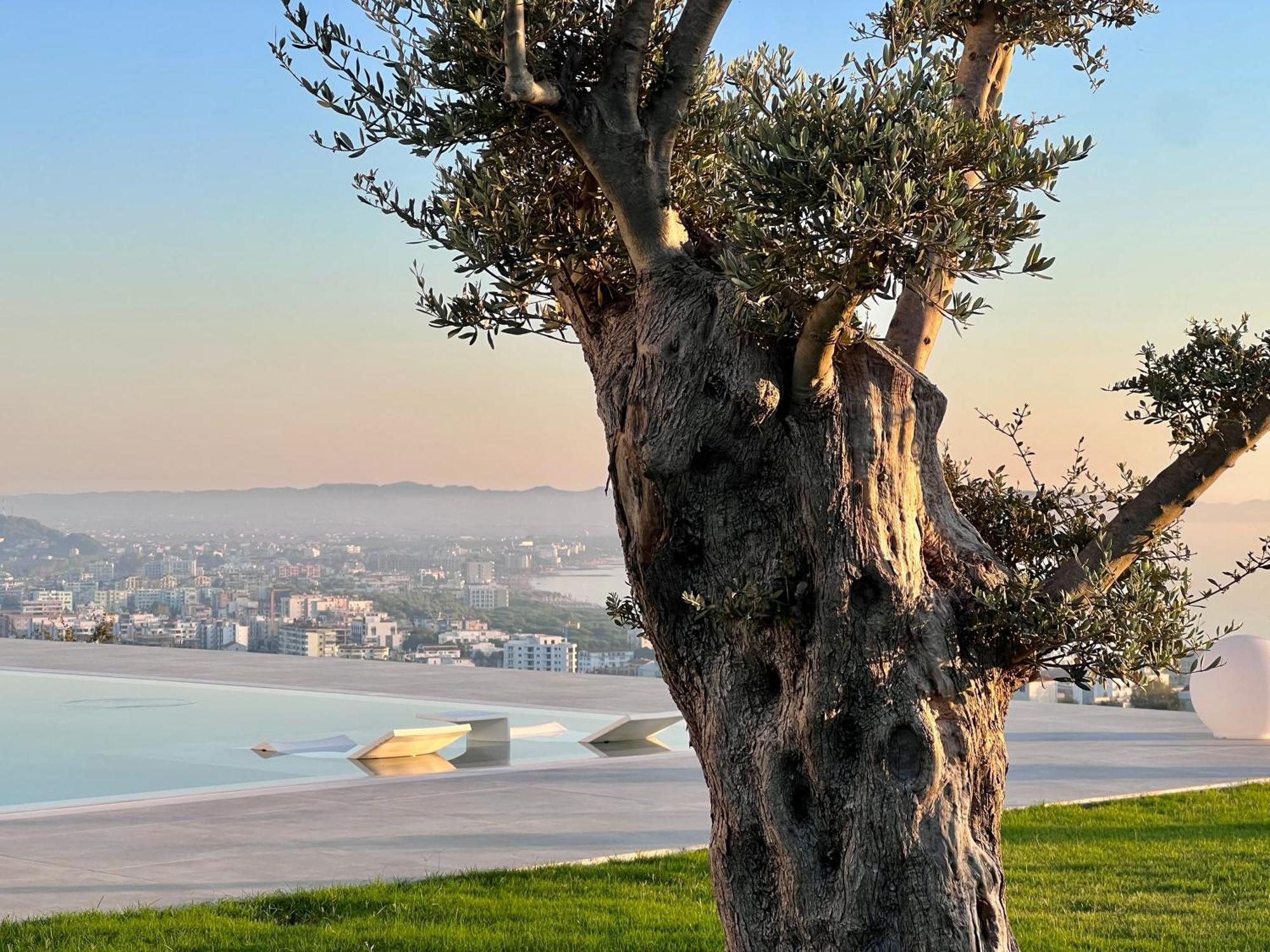 Villa Esmi Durres Kryemëdhej Extérieur photo