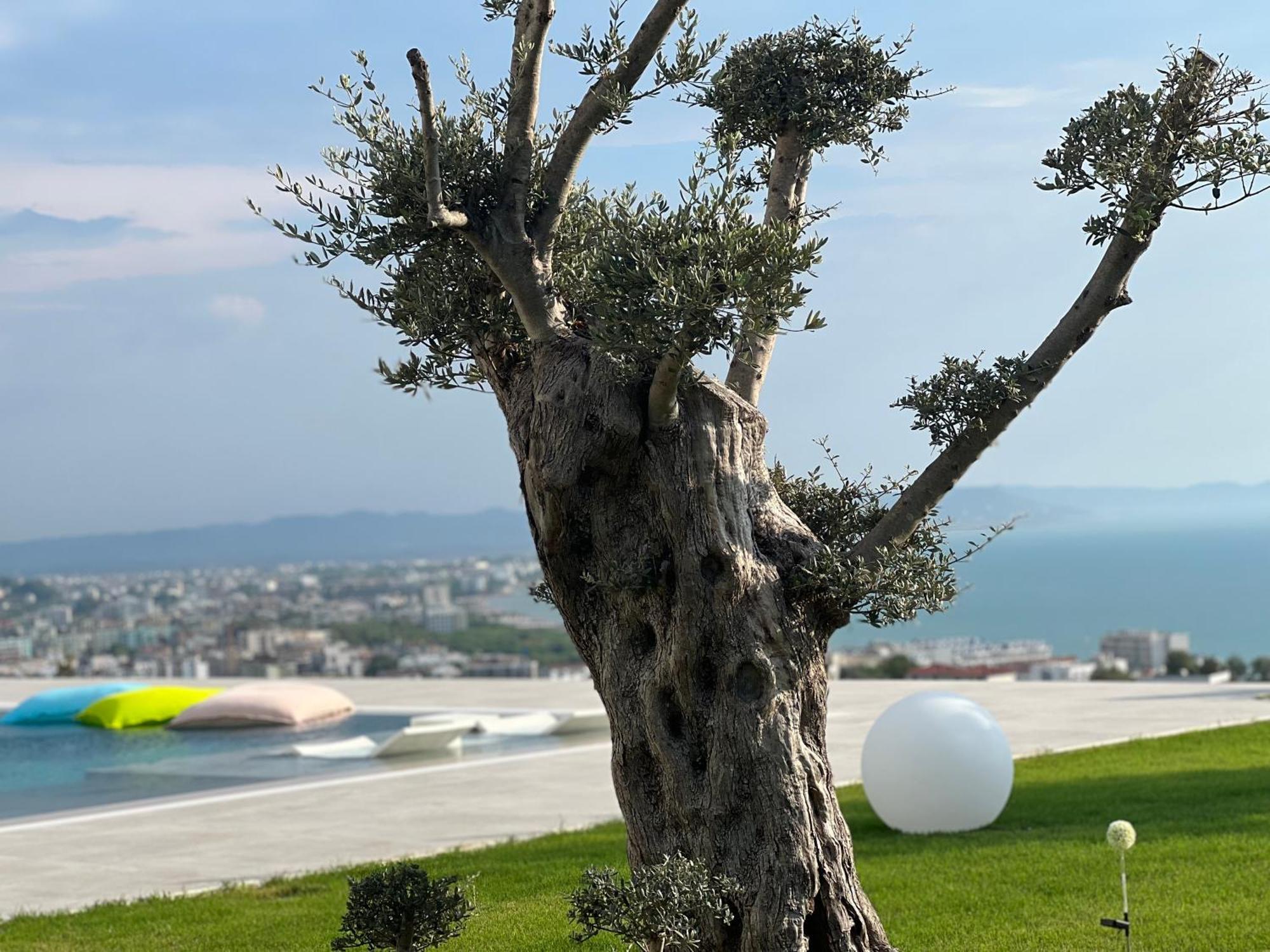 Villa Esmi Durres Kryemëdhej Extérieur photo