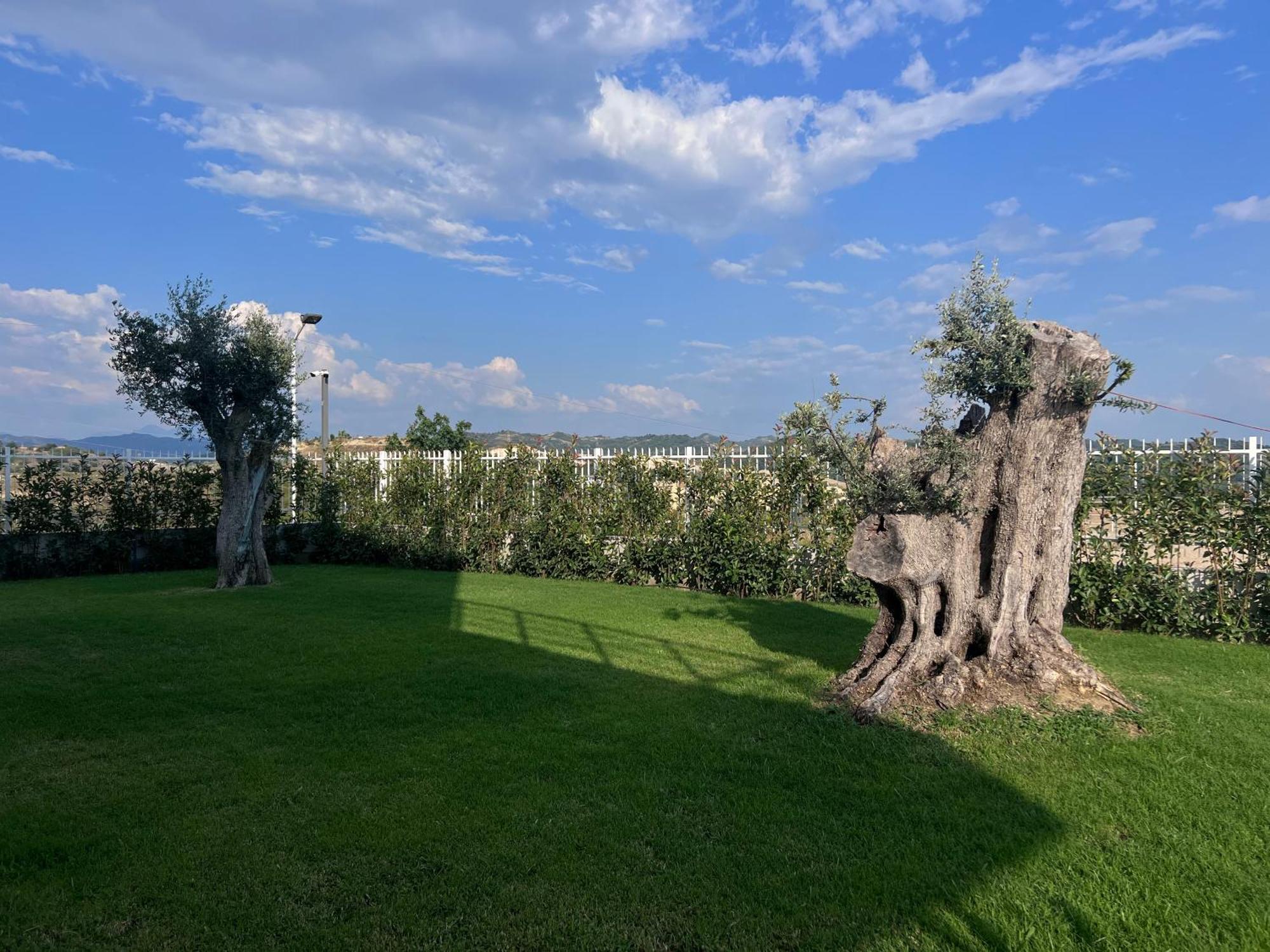 Villa Esmi Durres Kryemëdhej Extérieur photo
